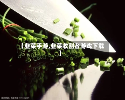 【韭菜手游,韭菜收割者游戏下载】-第2张图片