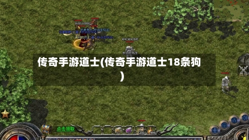 传奇手游道士(传奇手游道士18条狗)