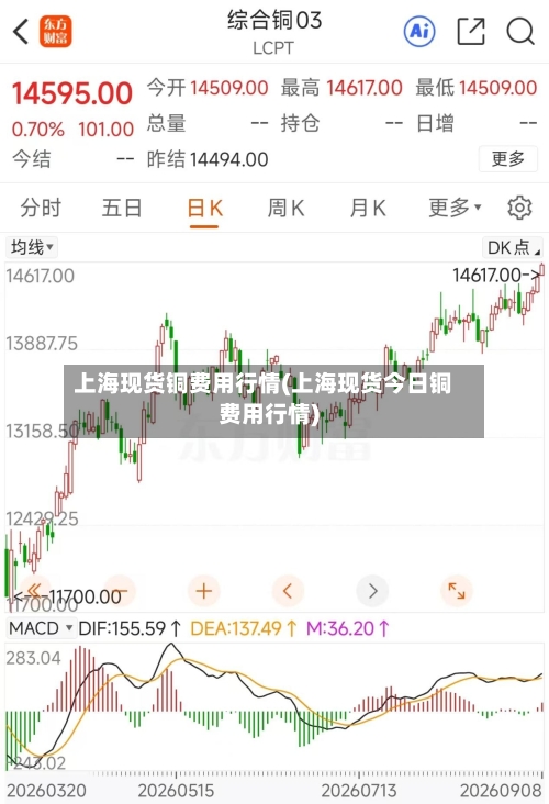 上海现货铜费用行情(上海现货今日铜费用行情)-第2张图片