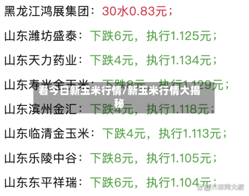 看今日新玉米行情/新玉米行情大揭秘