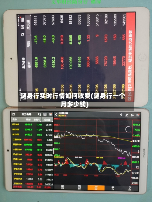 随身行实时行情如何收费(随身行一个月多少钱)-第2张图片