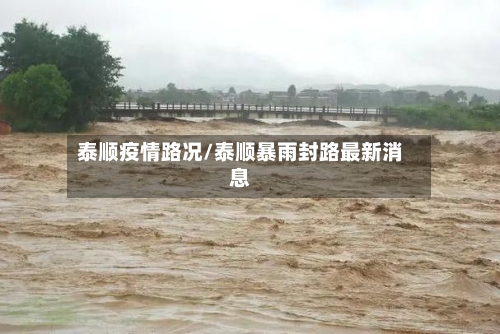 泰顺疫情路况/泰顺暴雨封路最新消息-第3张图片