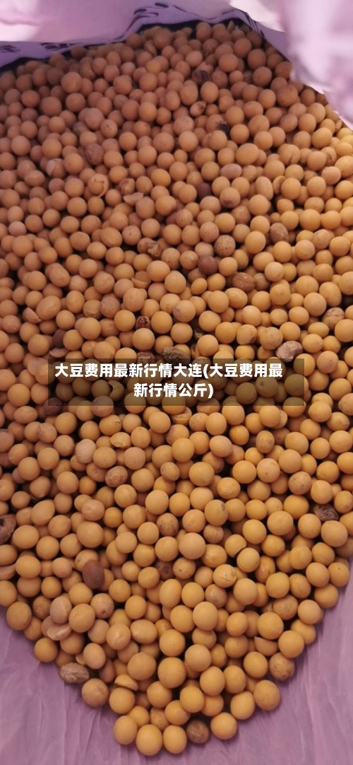 大豆费用最新行情大连(大豆费用最新行情公斤)-第2张图片