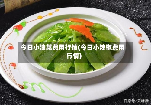 今日小油菜费用行情(今日小辣椒费用行情)
