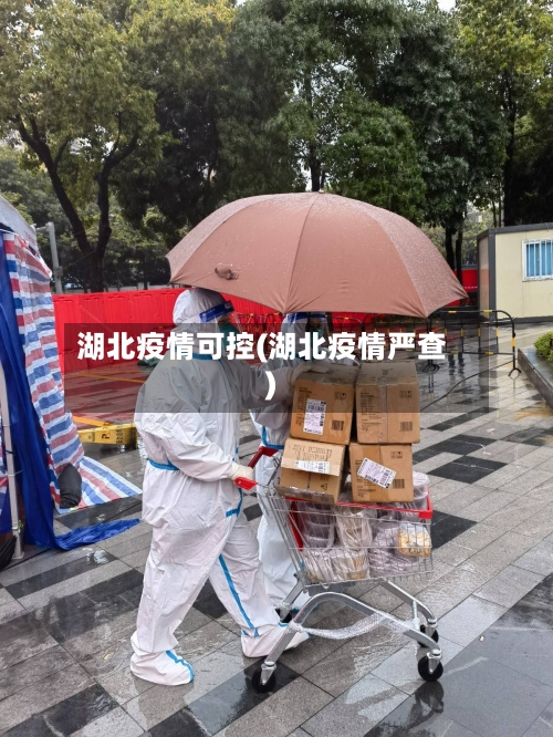 湖北疫情可控(湖北疫情严查)-第2张图片