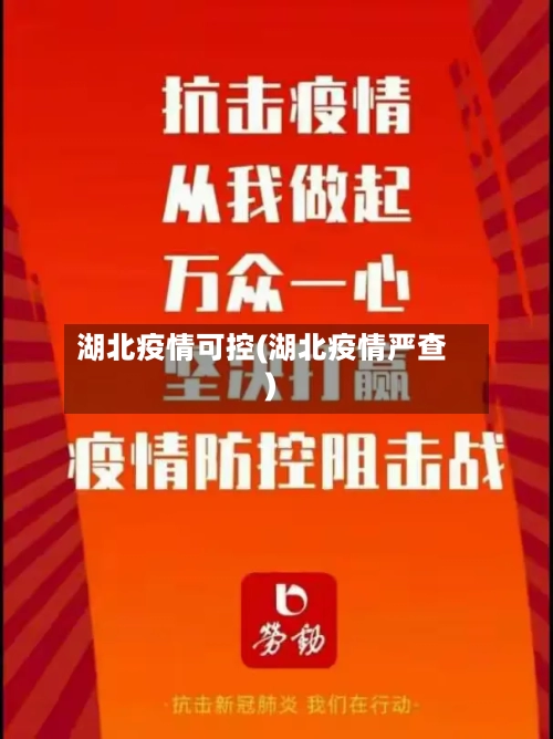 湖北疫情可控(湖北疫情严查)