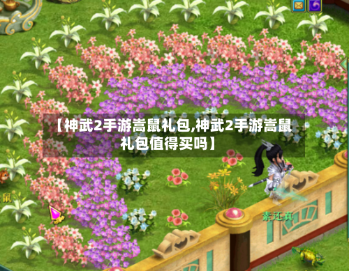 【神武2手游嵩鼠礼包,神武2手游嵩鼠礼包值得买吗】-第2张图片
