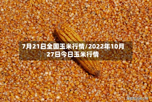 7月21日全国玉米行情/2022年10月27日今日玉米行情