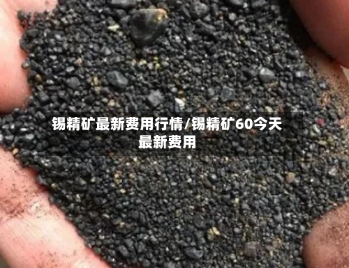 锡精矿最新费用行情/锡精矿60今天最新费用-第3张图片