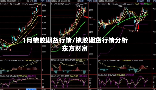 1月橡胶期货行情/橡胶期货行情分析东方财富-第3张图片