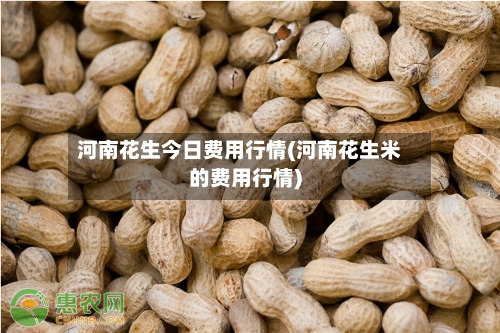 河南花生今日费用行情(河南花生米的费用行情)-第3张图片