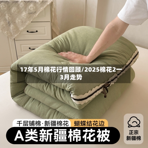 17年5月棉花行情回顾/2025棉花2一3月走势-第2张图片