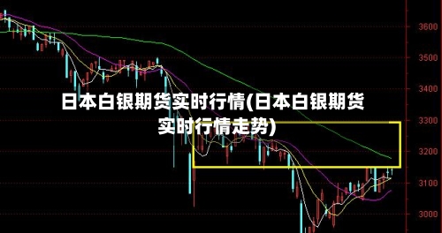 日本白银期货实时行情(日本白银期货实时行情走势)-第3张图片