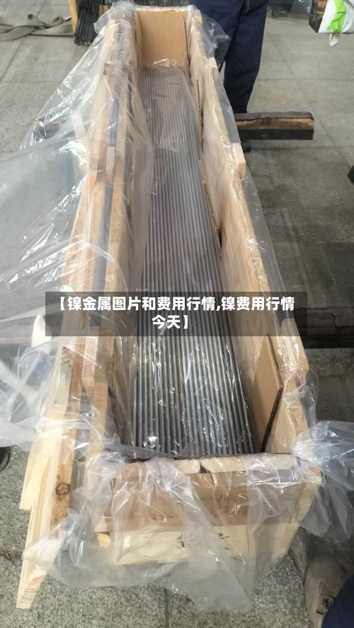 【镍金属图片和费用行情,镍费用行情今天】-第3张图片