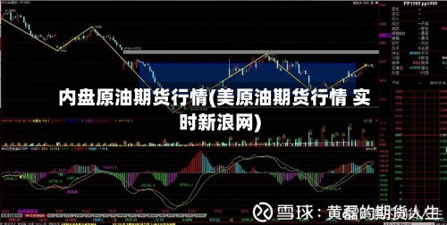 内盘原油期货行情(美原油期货行情 实时新浪网)