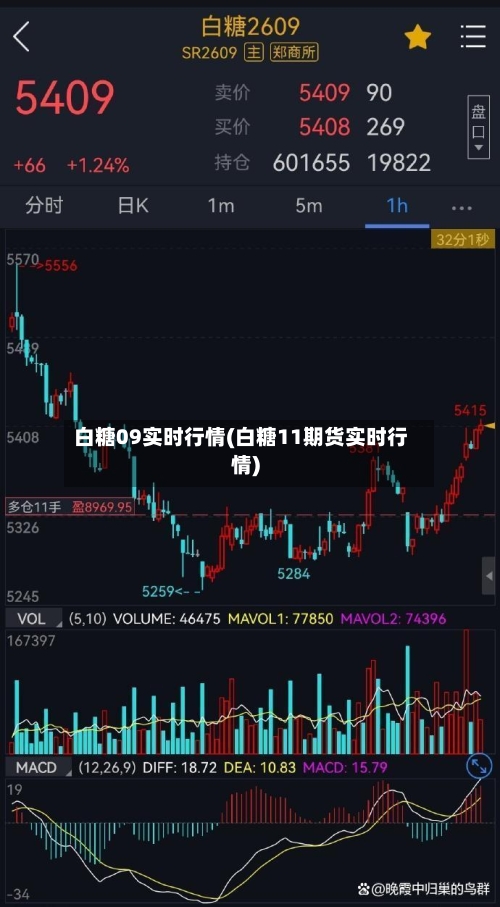 白糖09实时行情(白糖11期货实时行情)-第2张图片