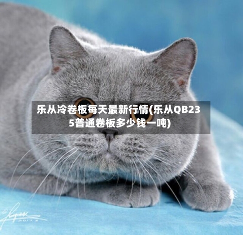 乐从冷卷板每天最新行情(乐从QB235普通卷板多少钱一吨)