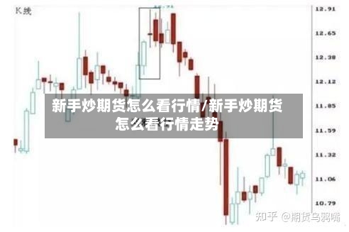新手炒期货怎么看行情/新手炒期货怎么看行情走势