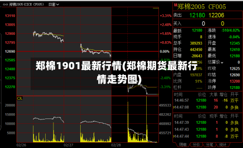 郑棉1901最新行情(郑棉期货最新行情走势图)-第2张图片