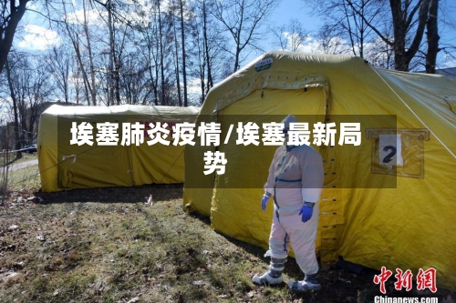埃塞肺炎疫情/埃塞最新局势