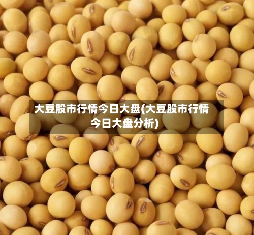大豆股市行情今日大盘(大豆股市行情今日大盘分析)