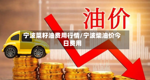 宁波菜籽油费用行情/宁波柴油价今日费用