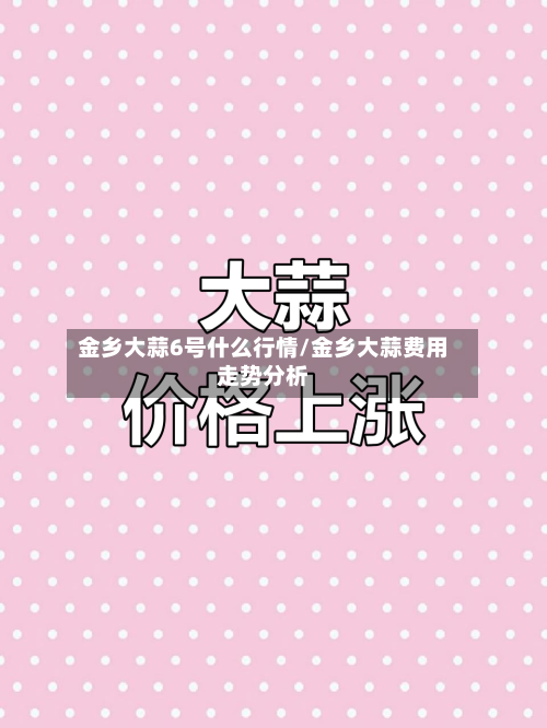 金乡大蒜6号什么行情/金乡大蒜费用走势分析