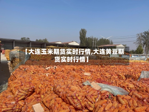 【大连玉米期货实时行情,大连黄豆期货实时行情】-第2张图片