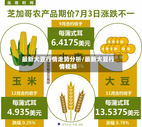 最新大豆行情走势分析/最新大豆行情视频-第3张图片