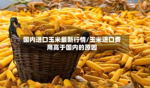 国内进口玉米最新行情/玉米进口费用高于国内的原因