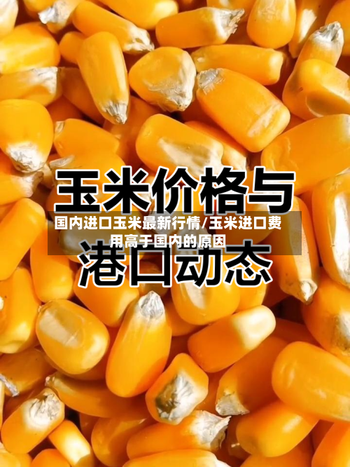国内进口玉米最新行情/玉米进口费用高于国内的原因-第2张图片