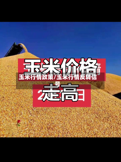 玉米行情政策/玉米行情反转信号