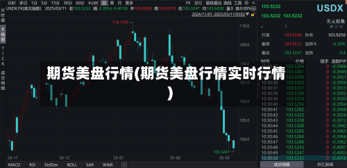 期货美盘行情(期货美盘行情实时行情)-第2张图片