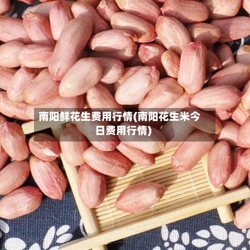 南阳鲜花生费用行情(南阳花生米今日费用行情)