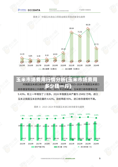 玉米市场费用行情分析(玉米市场费用多少钱一斤)-第2张图片