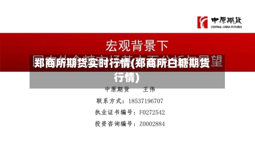郑商所期货实时行情(郑商所白糖期货 行情)