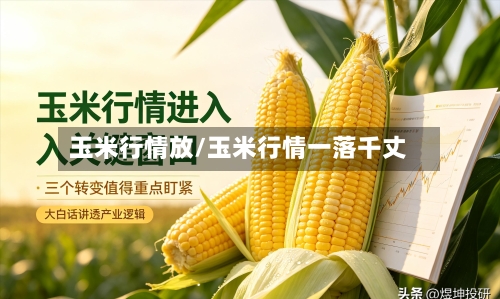 玉米行情放/玉米行情一落千丈