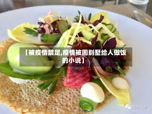 【被疫情禁足,疫情被困别墅给人做饭的小说】