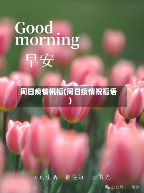 周日疫情祝福(周日疫情祝福语)-第2张图片