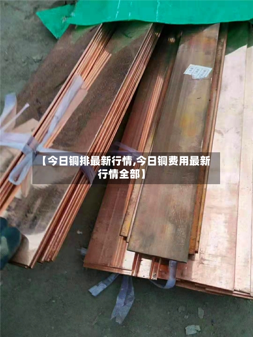 【今日铜排最新行情,今日铜费用最新行情全部】-第2张图片