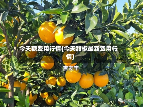 今天糖费用行情(今天甜椒最新费用行情)-第2张图片