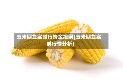 玉米期货实时行情金投网(玉米期货实时行情分析)