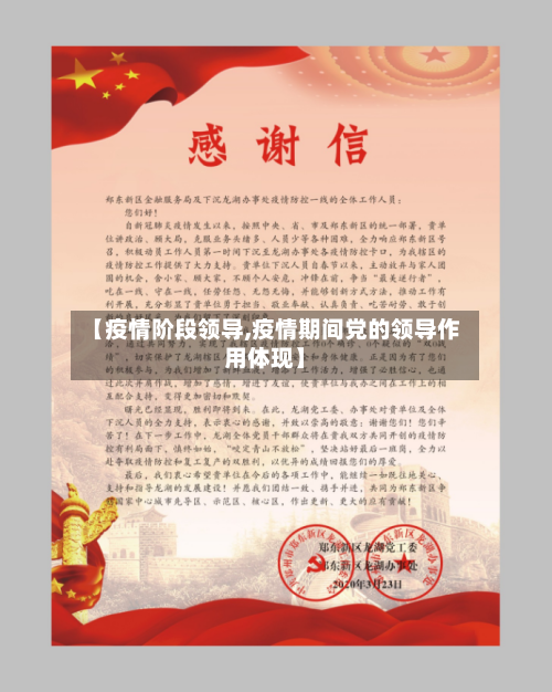 【疫情阶段领导,疫情期间党的领导作用体现】