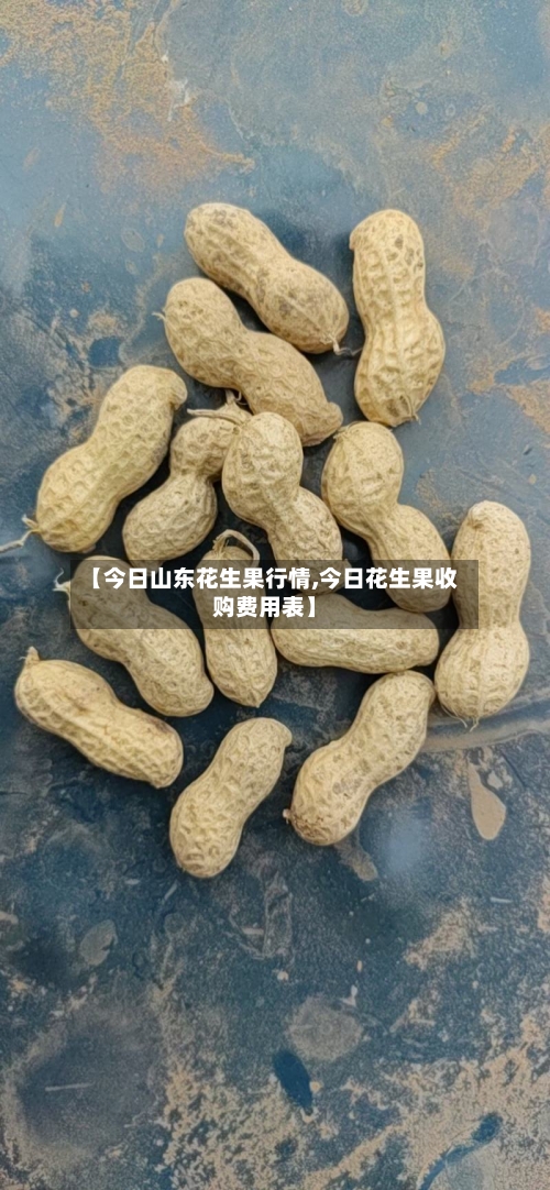 【今日山东花生果行情,今日花生果收购费用表】-第2张图片