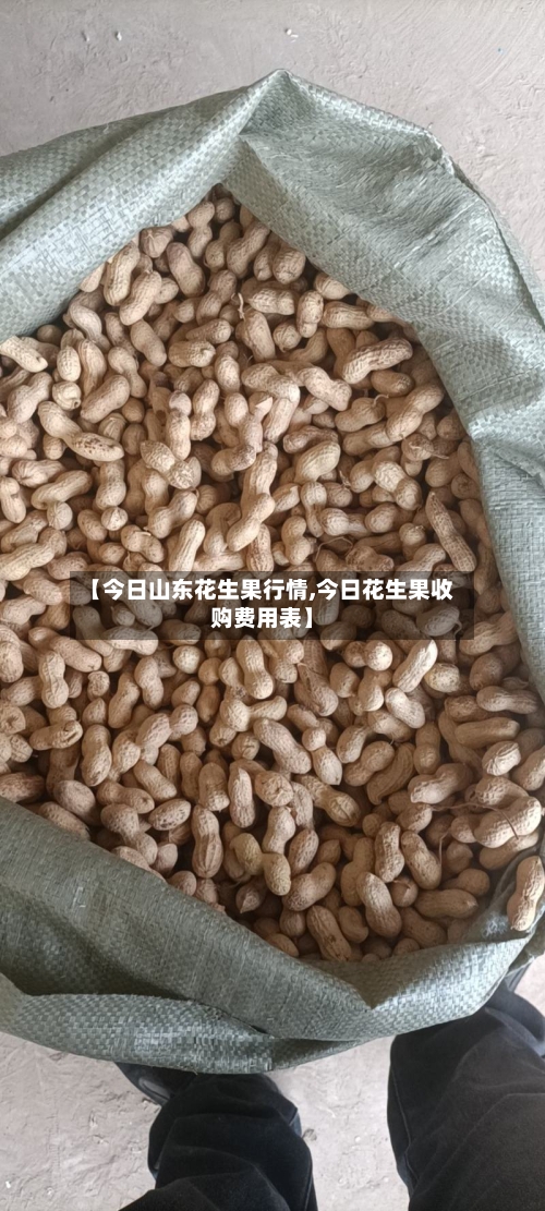 【今日山东花生果行情,今日花生果收购费用表】