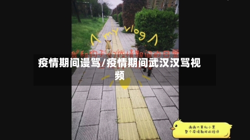 疫情期间谩骂/疫情期间武汉汉骂视频-第2张图片