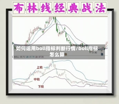 如何运用boll指标判断行情/boll指标怎么算