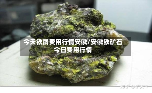 今天铁屑费用行情安徽/安徽铁矿石今日费用行情-第2张图片