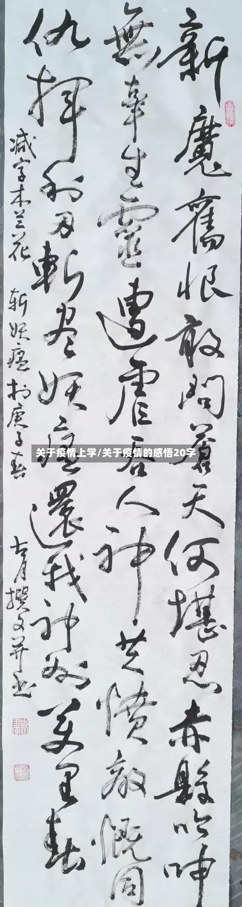 关于疫情上学/关于疫情的感悟20字